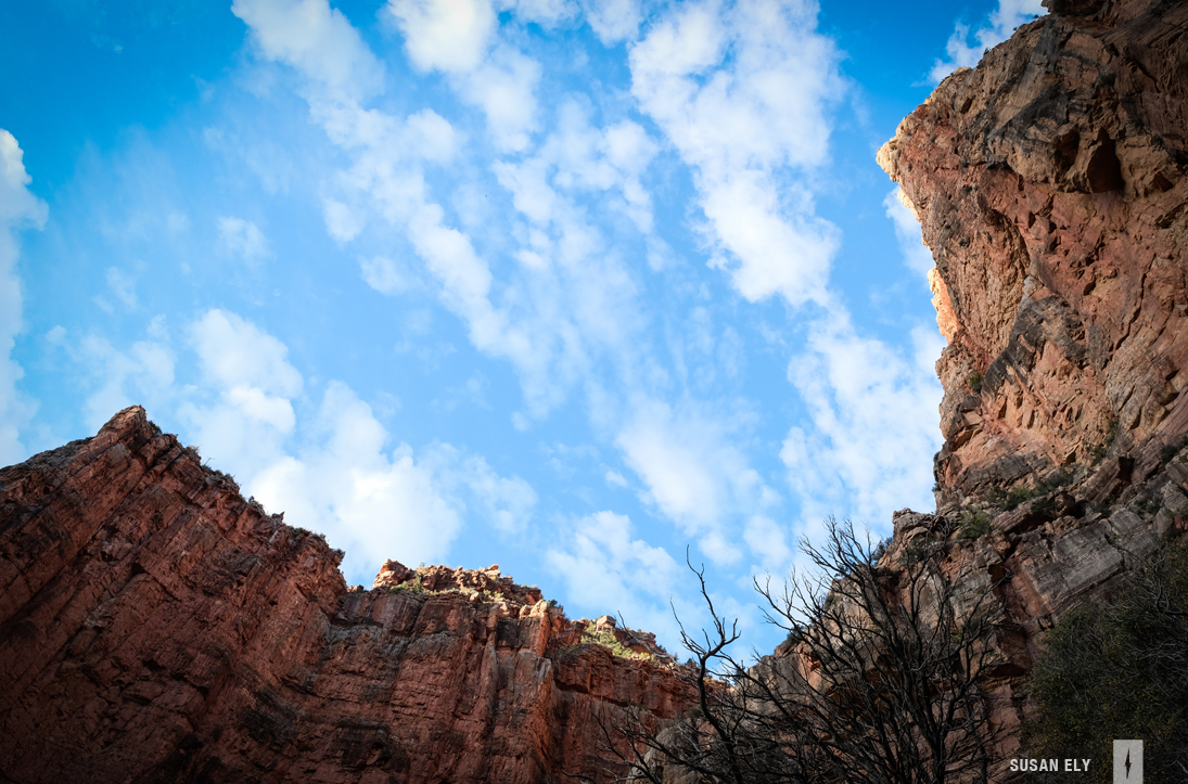 Crossing the Canyon: Susan’s Story